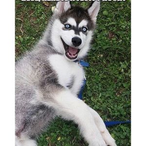 Meet your Posher, Jason